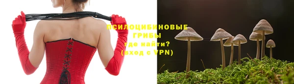 дурь Иннополис