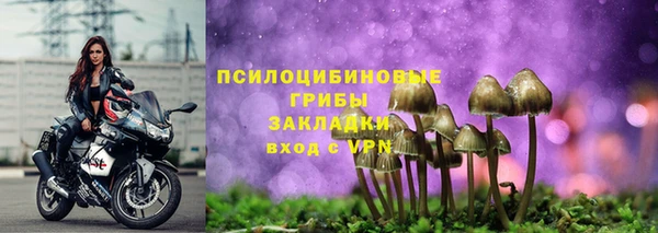 дурь Иннополис