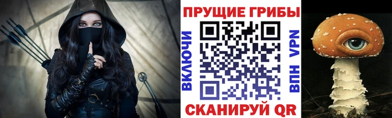 Купить  Долгопрудный  Псилоцибиновые грибы GOLDEN TEACHER 