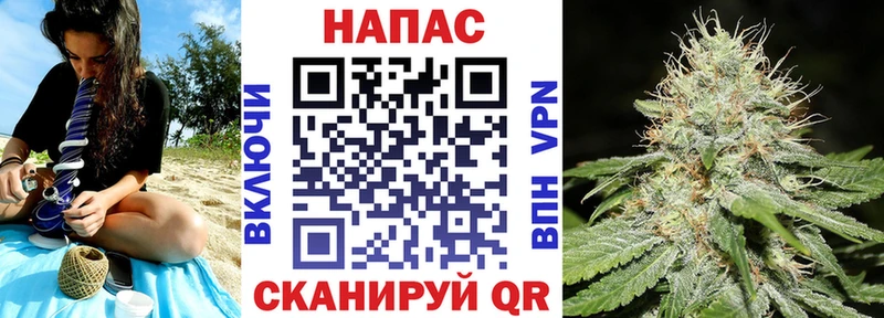 Купить где  Долгопрудный  Марихуана Amnesia 
